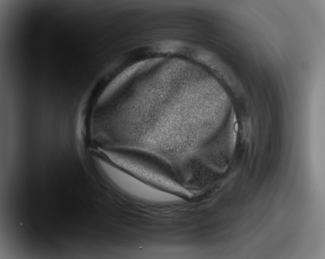 X0000087620731200705181312