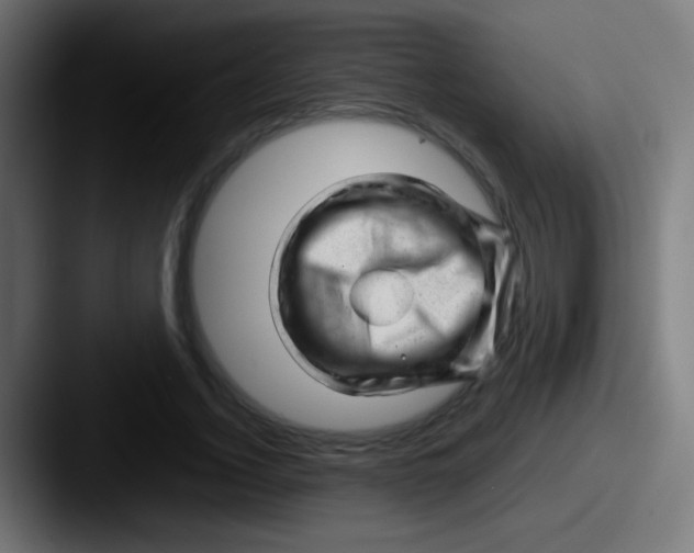 X0000087620732200705181312