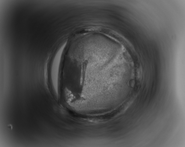 X0000087620733200705181312