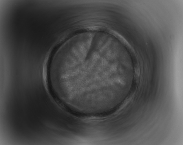 X0000087620734200705181312