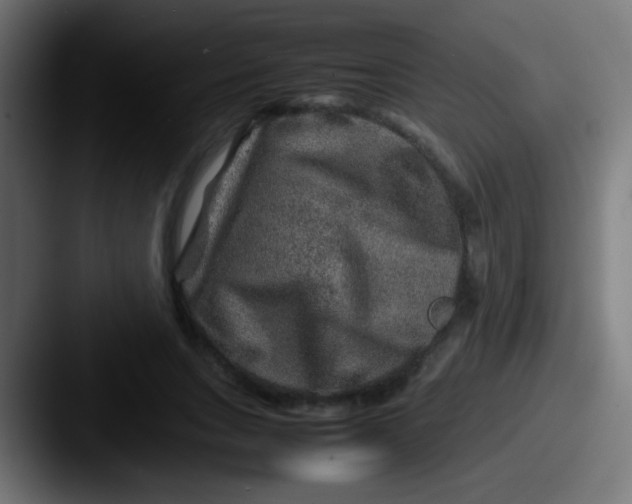 X0000087620735200705181312