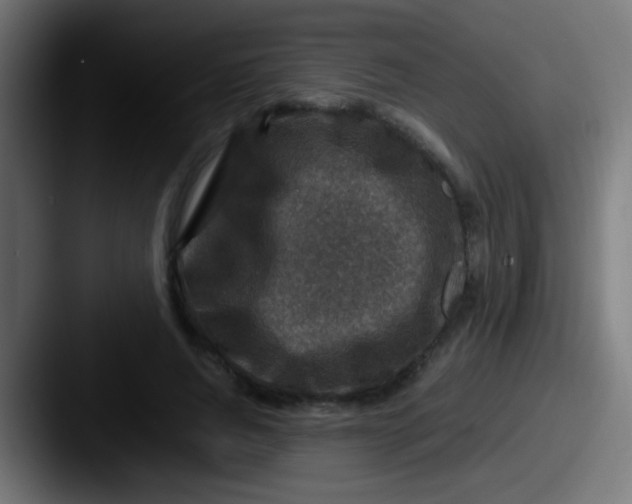 X0000087620736200705181312