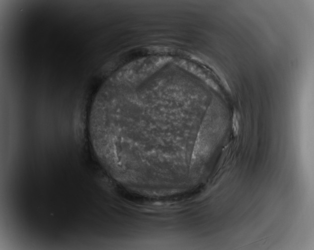 X0000087620737200705181312