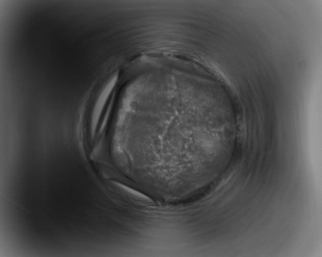 X0000087620738200705181312