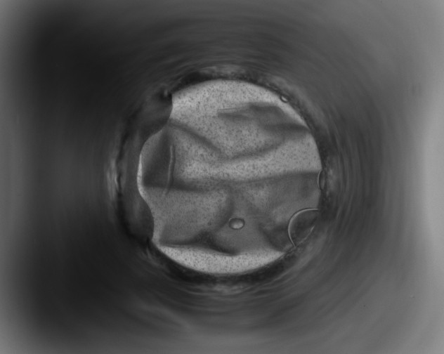 X0000087620739200705181312