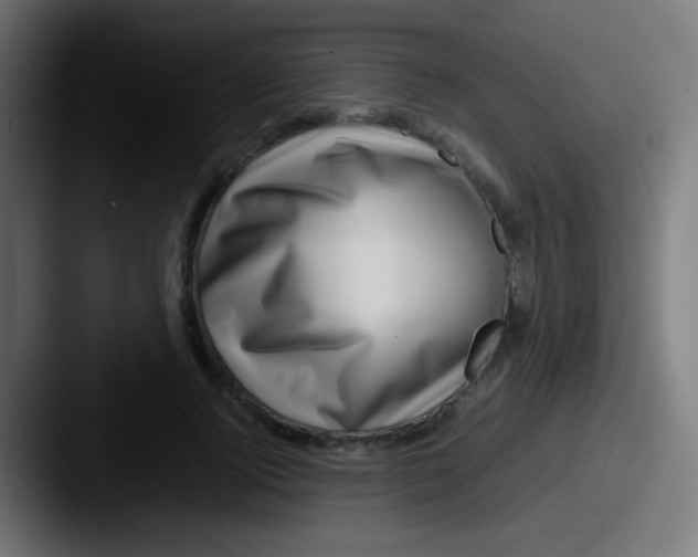 X0000087620740200705181312