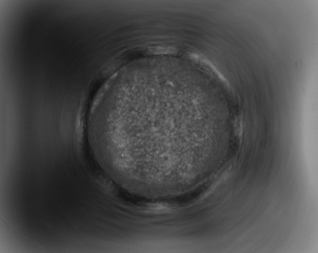 X0000087620741200705181312