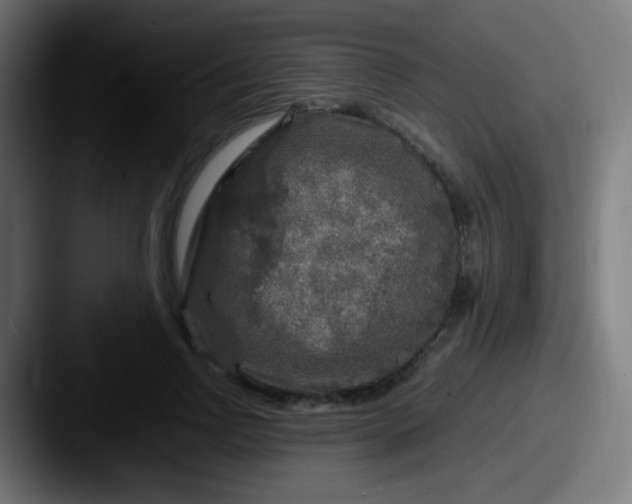 X0000087620742200705181312
