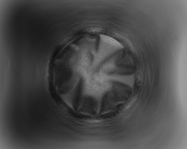 X0000087620743200705181312