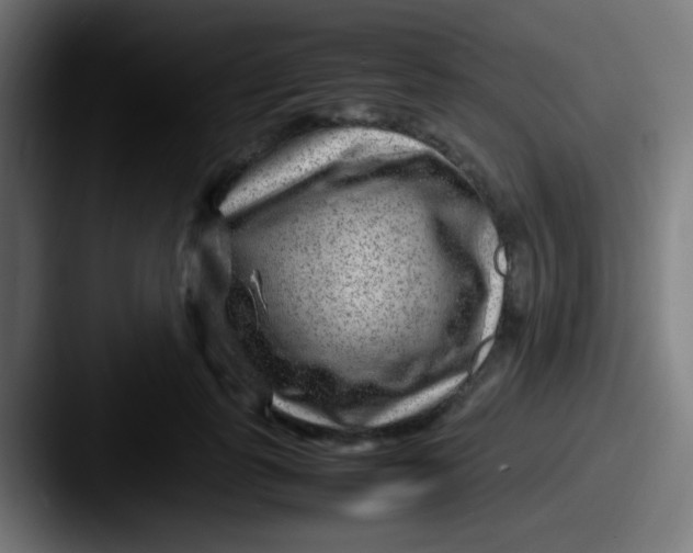 X0000087620747200705181313