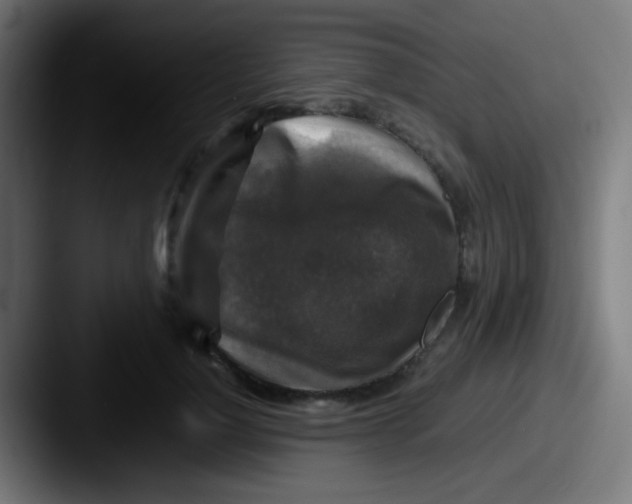 X0000087620748200705181313