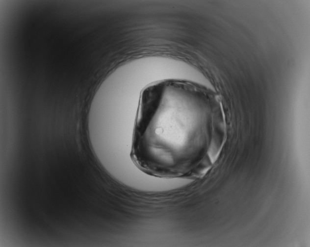 X0000087620750200705181313