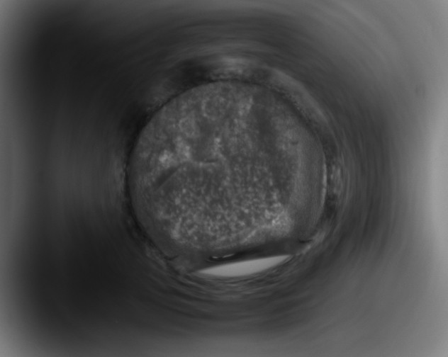 X0000087620753200705181313