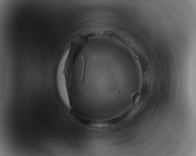 X0000087620754200705181313