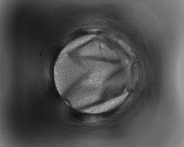 X0000087620755200705181313
