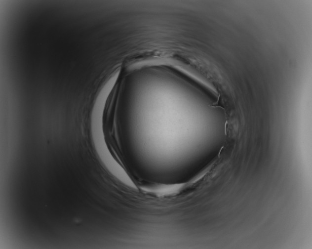 X0000087620756200705181313