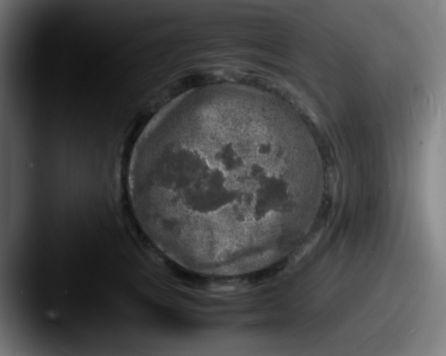 X0000087620757200705181313