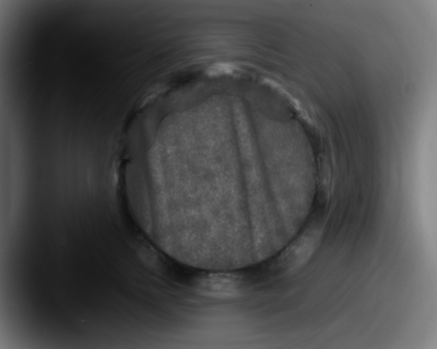X0000087620758200705181313