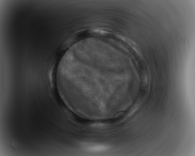 X0000087620759200705181313
