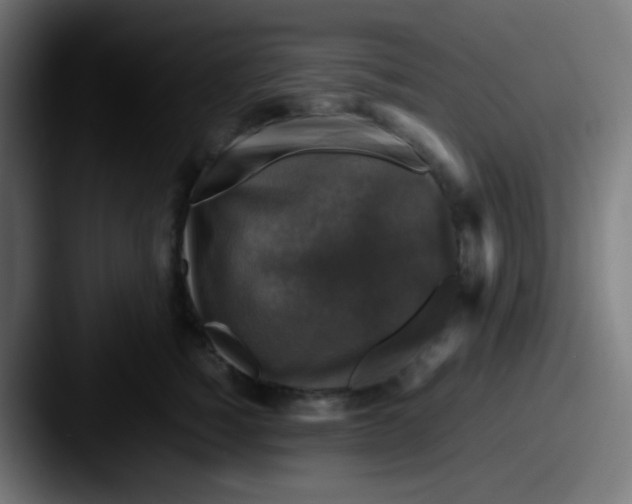 X0000087620760200705181313