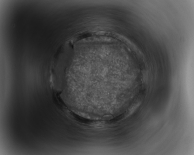 X0000087620761200705181313