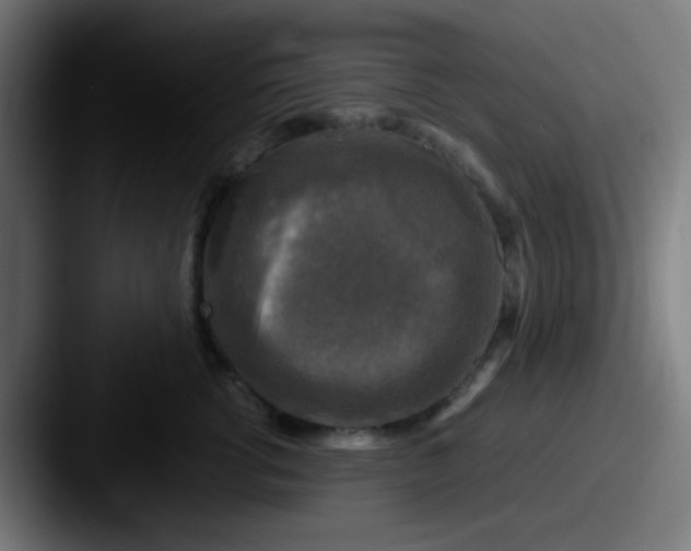 X0000087620762200705181313