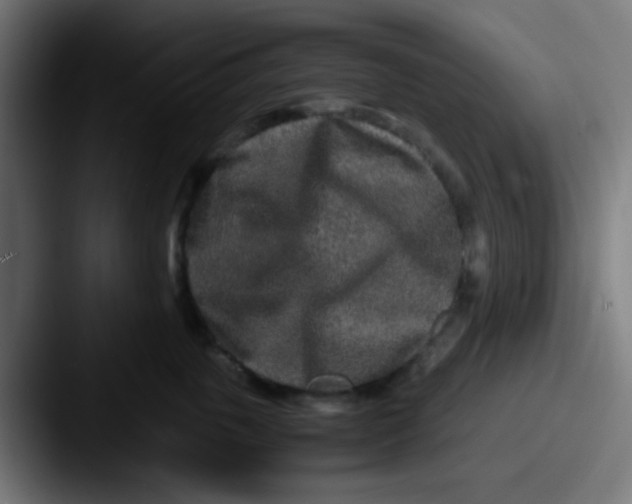 X0000087620763200705181313