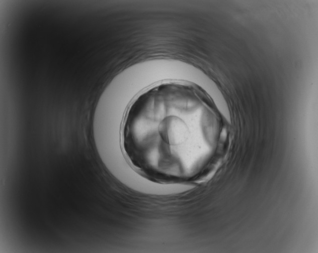 X0000087620764200705181313