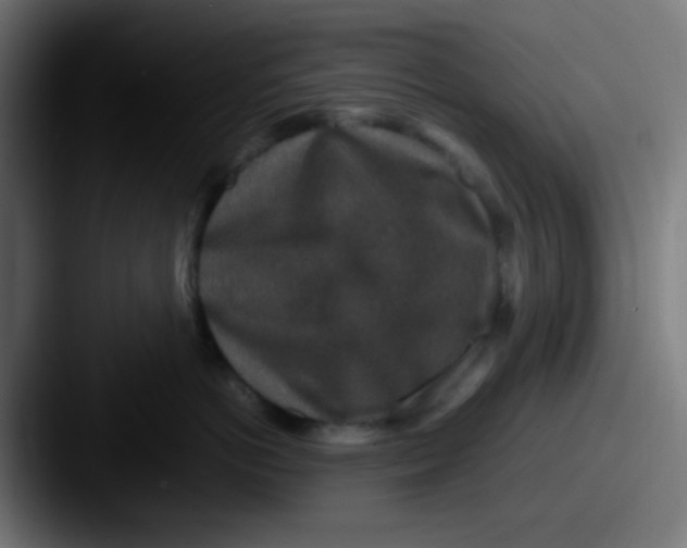 X0000087620766200705181313