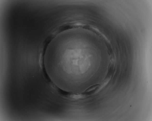 X0000087620767200705181313
