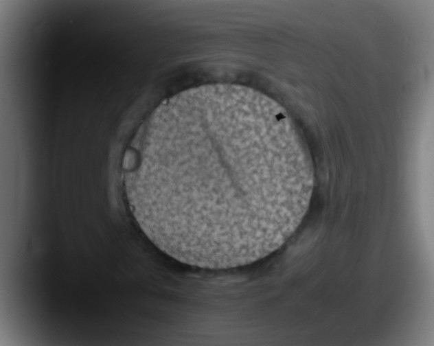 X0000087620769200705181312