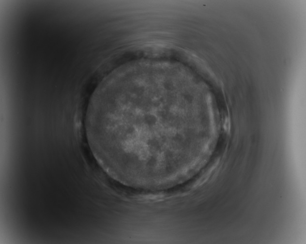 X0000087620771200705181312