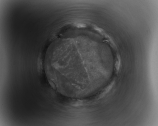 X0000087620772200705181312