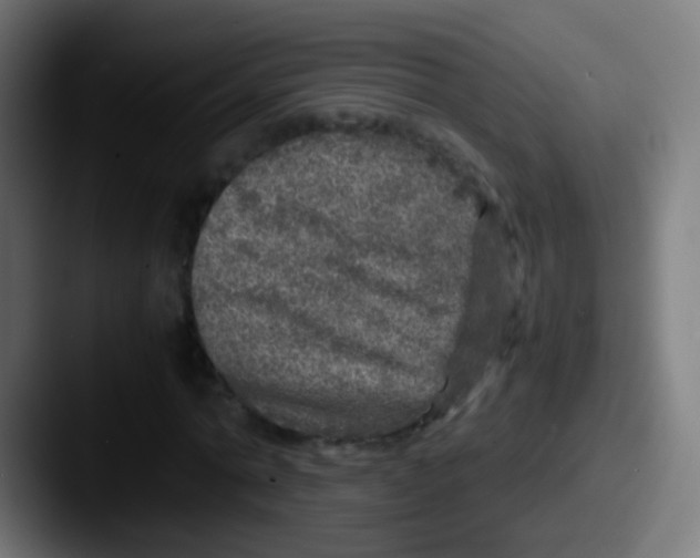 X0000087620774200705181312
