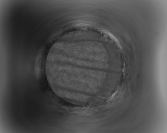 X0000087620775200705181312