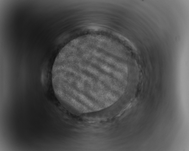 X0000087620776200705181312