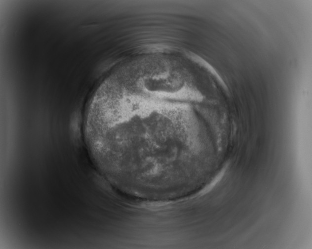 X0000087620778200705181312