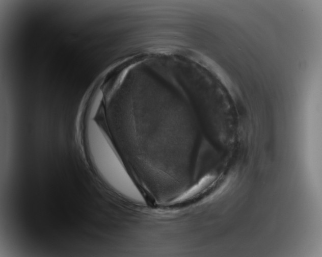 X0000087620779200705181312