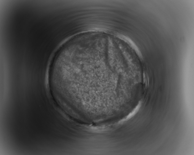 X0000087620780200705181312