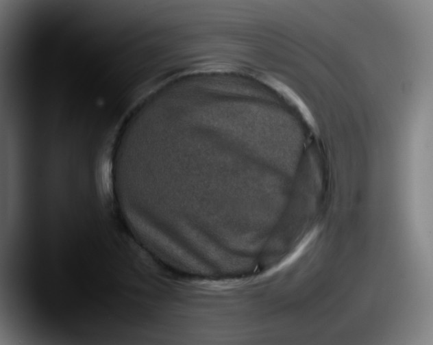 X0000087620781200705181312
