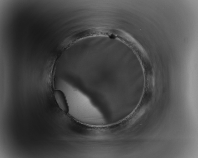 X0000087620785200705181312