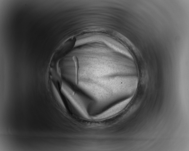 X0000087620786200705181312