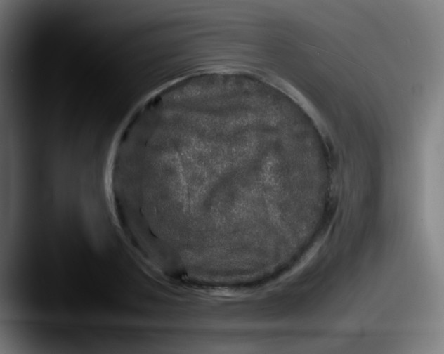 X0000087620787200705181312