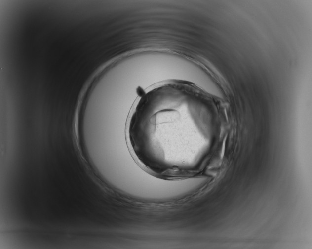 X0000087620788200705181312