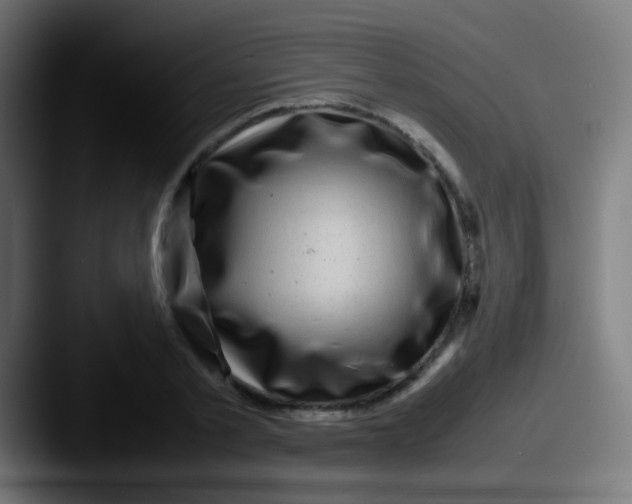 X0000087620789200705181312