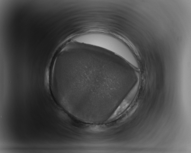 X0000087620790200705181312
