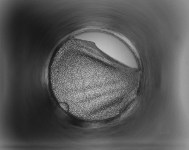 X0000087620791200705181312