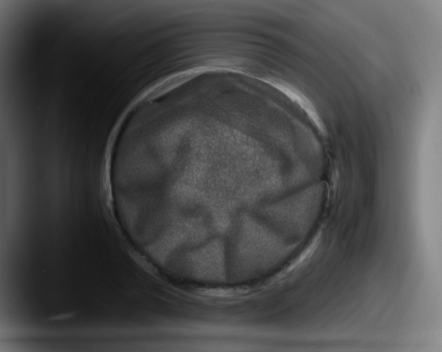 X0000087620792200705181312