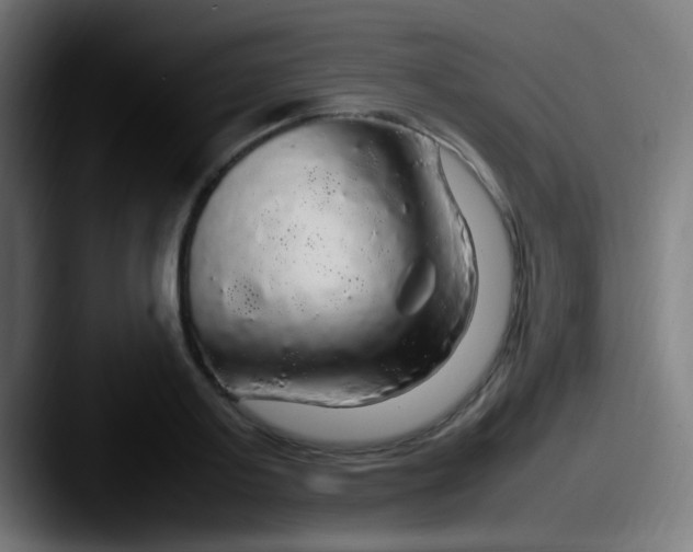 X0000087620795200705181312