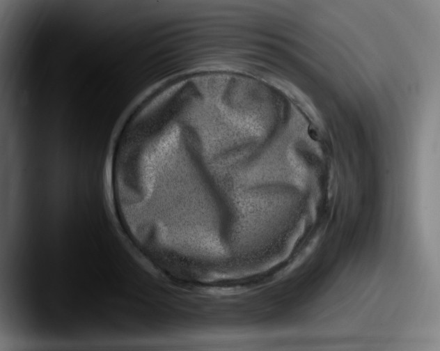 X0000087620796200705181312